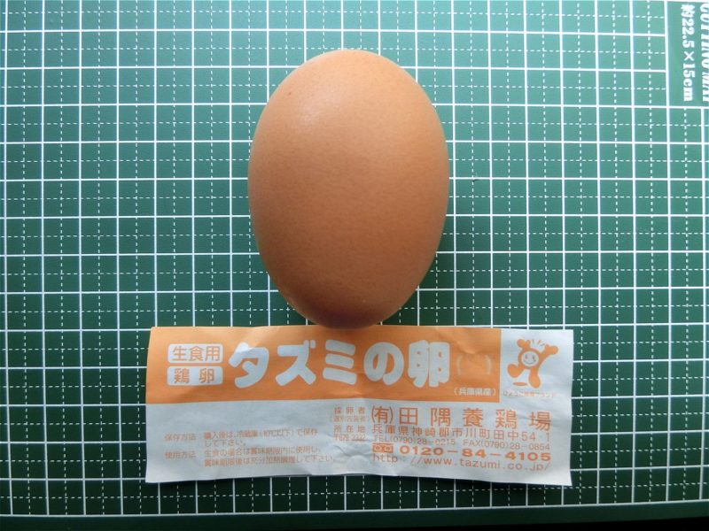 tazumi-egg-06